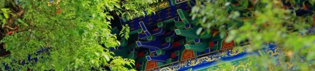没办法，还是会反反复复反反复复爱上孔庙…