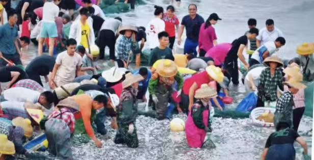 海鲜自由！一日游攻略带你解锁遂溪渔港狂欢