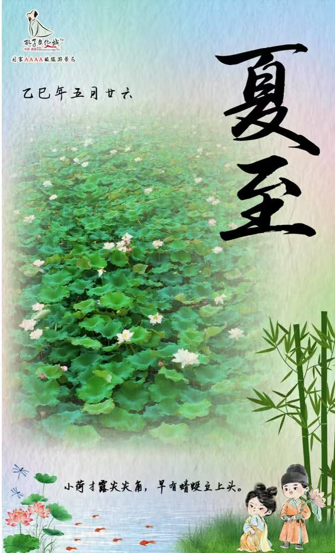 夏至节气 | 半夏蝉鸣，盛夏已至